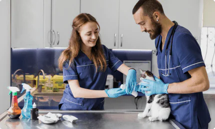 medium shot smiley doctors treating injured cat