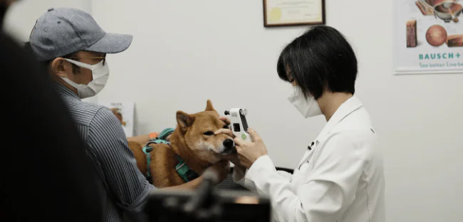 Pet eye diagnostic tests